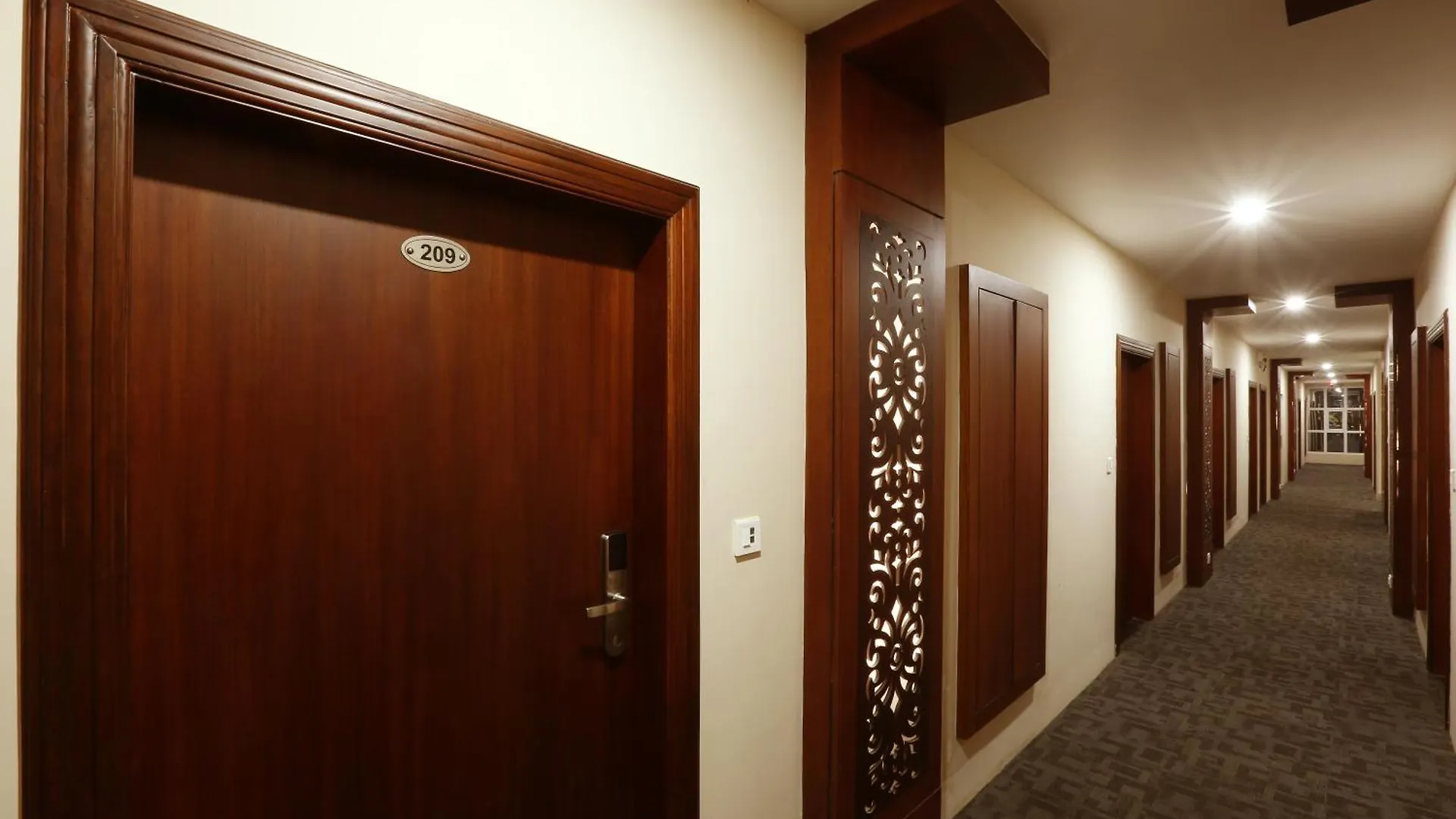 Hotel Silky Igi Airport Delhi New Delhi 4*,